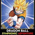 Dragon Ball Symphonic Adventure – koncert w Paryżu