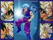 Secret New Fighter