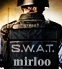 expertmirlo_com