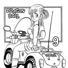 Cykl "Prawie wszystkie prace Akiry Toriyamy" – #566
