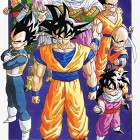 Cykl "Prawie wszystkie prace Akiry Toriyamy" – #1242